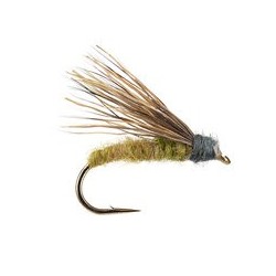 Still Born Elk Caddis