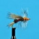 Stimulator Olive