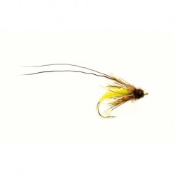 Struggling Sedge Green