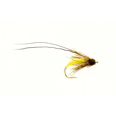 Struggling Sedge Green