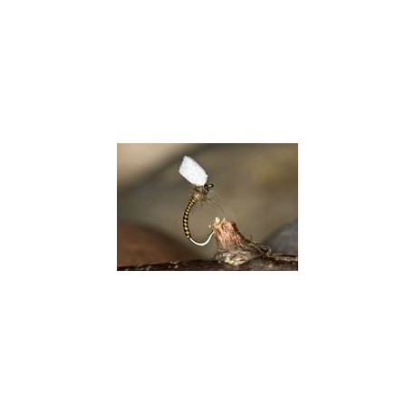 Sugarcubebuzzer