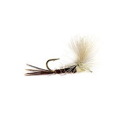 Sulphur Emerger