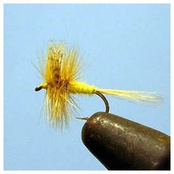 Sulphur