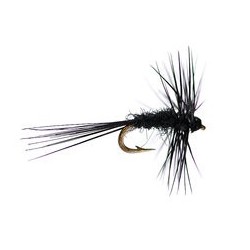 Super Small Black Gnat