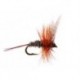 Super Small Dark Fly