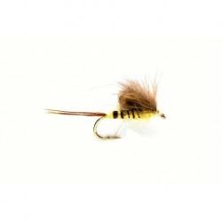 Taff's CDC Danica