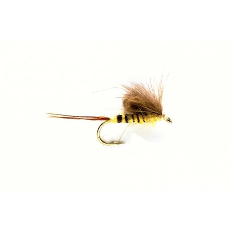 Taff's CDC Danica