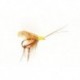 Taff's Cinnamon Sedge