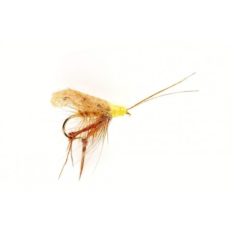 Taff's Cinnamon Sedge