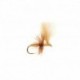 Tan CDC Ant