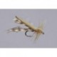 Tan Variant Daddy Long Legs