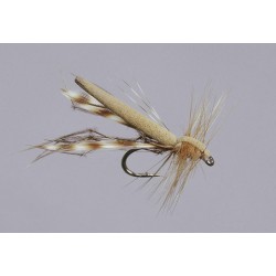 Tan Variant Daddy Long Legs