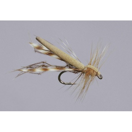 Tan Variant Daddy Long Legs