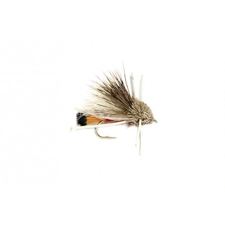Tarantula Red