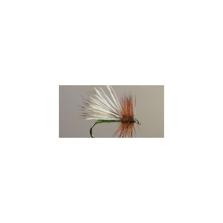 Tent Wing Caddis (Olive)
