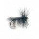 Tent Wing Caddis