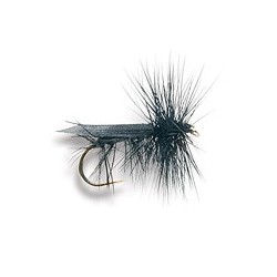 Tent Wing Caddis
