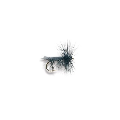 Tent Wing Caddis