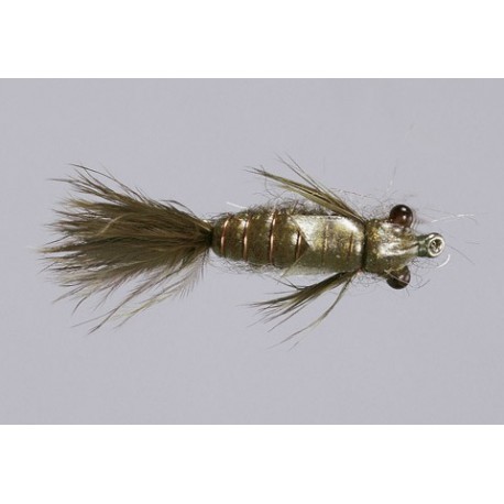 Rl Olive Sf Dragonfly Nymph