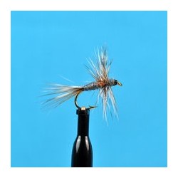 Thorax Dun Adams
