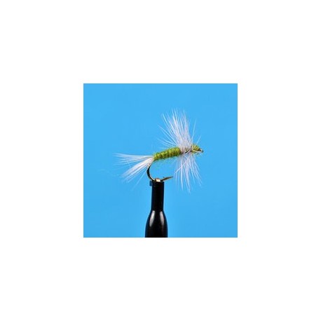 Thorax Dun Bwo