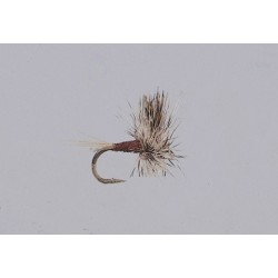 Thorax Dun Mahogany