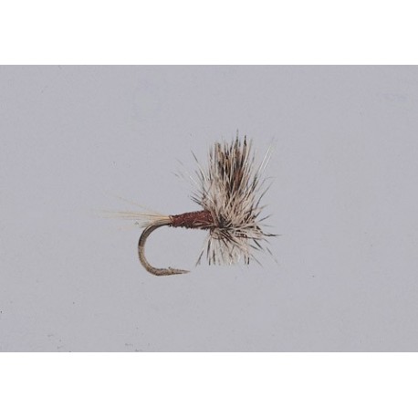 Thorax Dun Mahogany