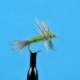 Thorax Dun Pmd