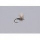 Thorax Dun Trico