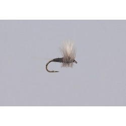 Thorax Dun Trico