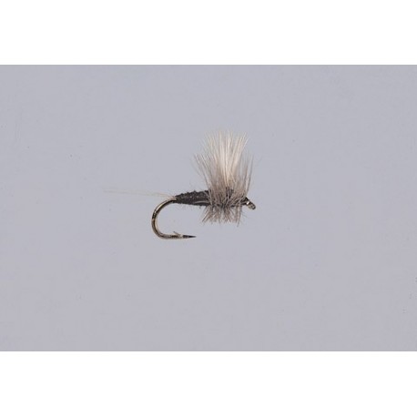 Thorax Dun Trico