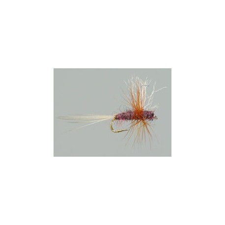 Thorax Mahagony