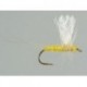 Thorax Yellow