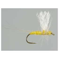 Thorax Yellow