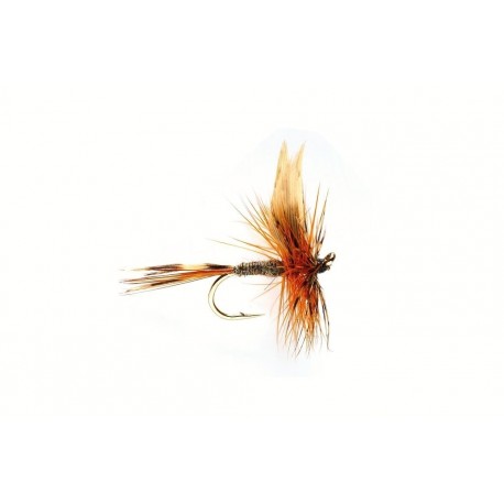 Traditional March Brown