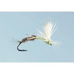 Transducer Bwo