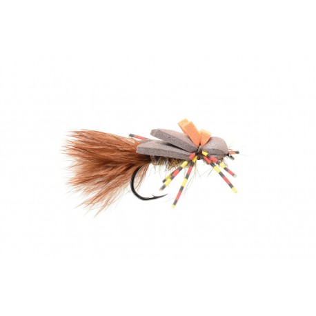 Transfoamer Brown