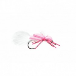Transfoamer Pink