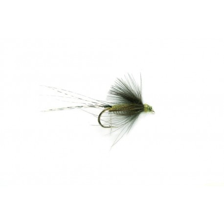Transitional Dun Blue Winged Olive