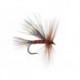 Travelling Sedge