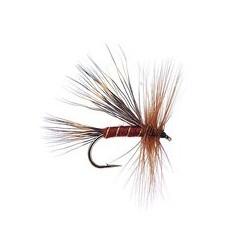 Travelling Sedge