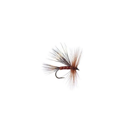Travelling Sedge