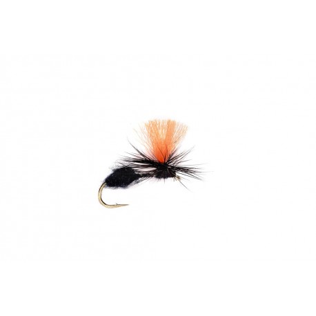 Travis Para Ant Black