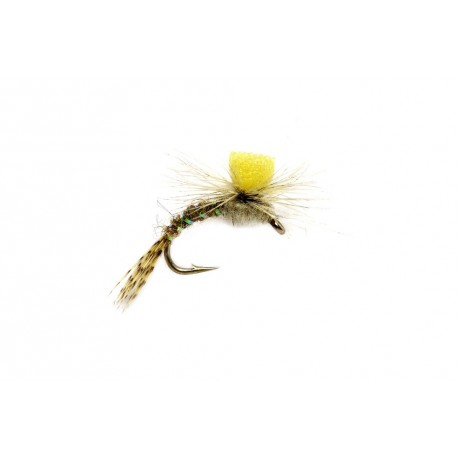 Travis Para Emerger Baetis