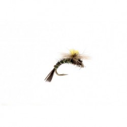 Travis Para Emerger Bwo