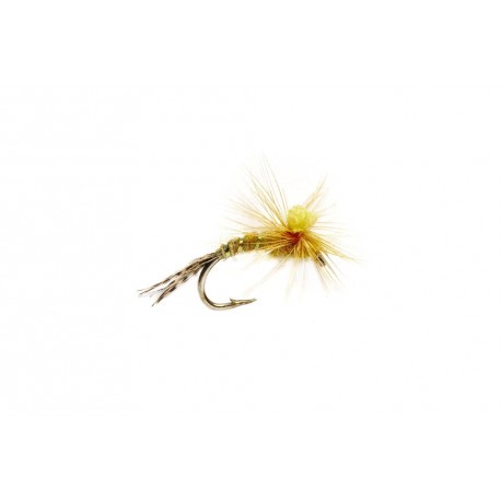 Travis Para Emerger Sulphur