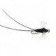 Tricorythodes Dun