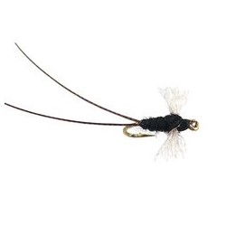 Tricorythodes Dun