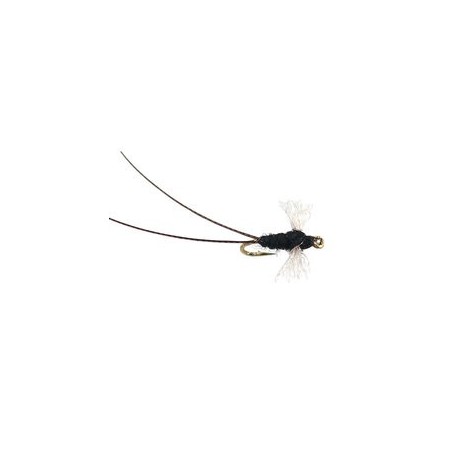 Tricorythodes Dun