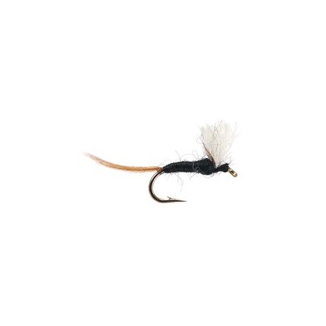 Tricorythodes Male Spinner